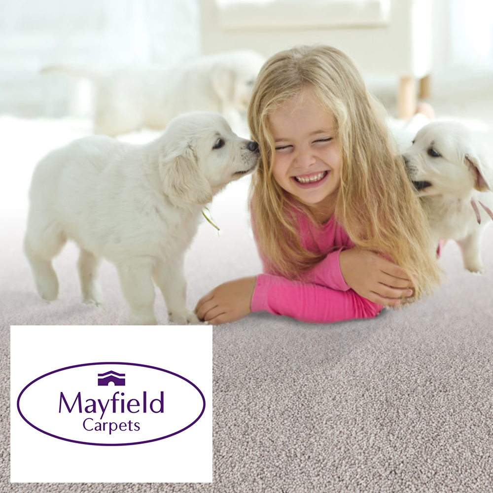 Mayfield 1